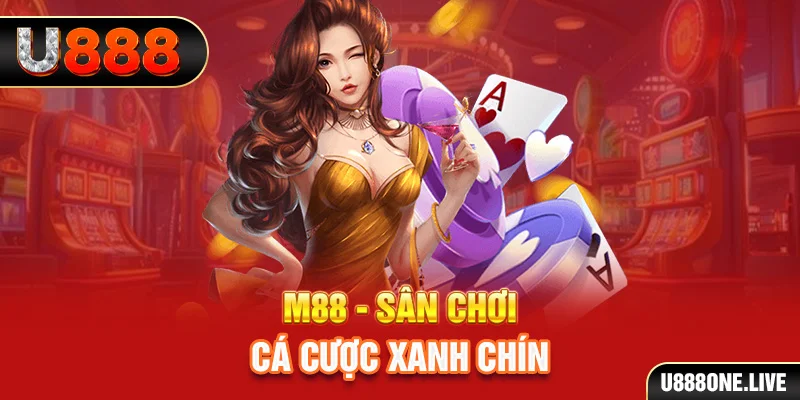kubet789 gà chọi cậu thanh
