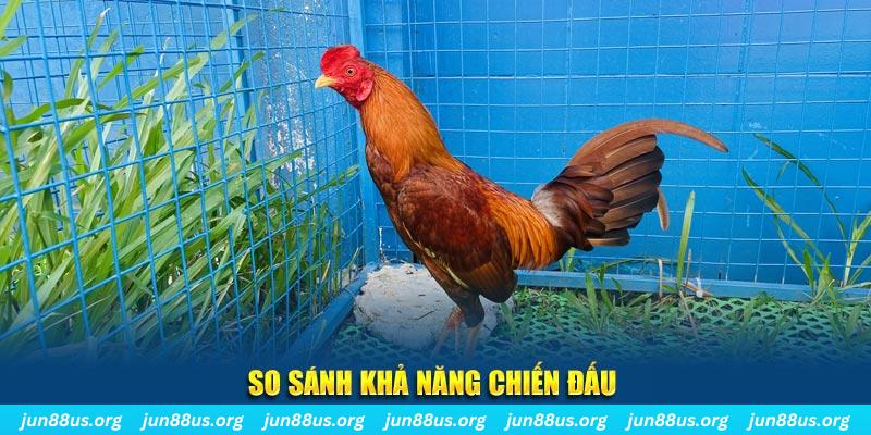 kubet789 xổ số tiền giang