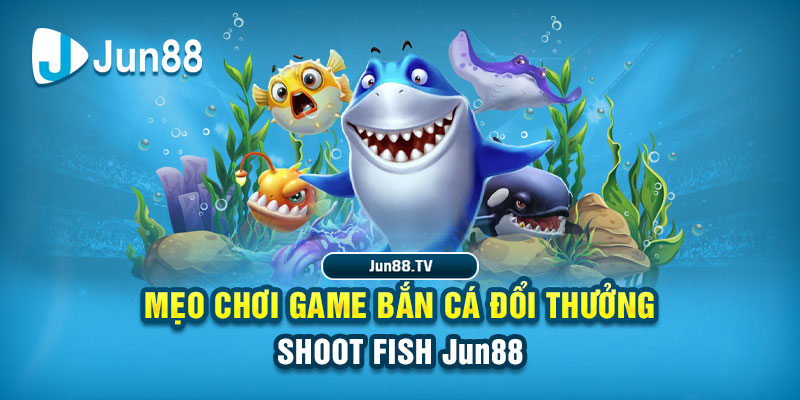 kubet789 tai game danh bai bigkool ve may tinh