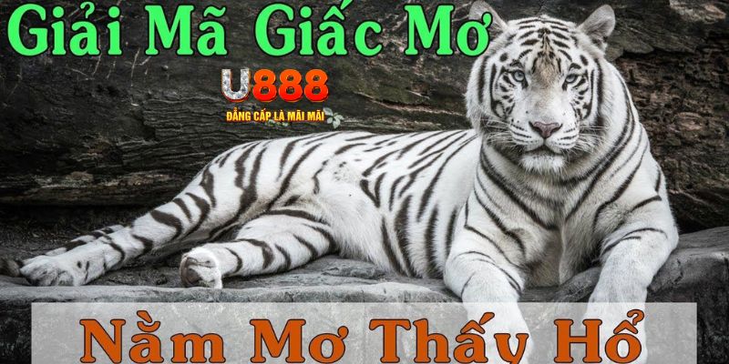 kubet789 xổ số kiến thiết miền bắc