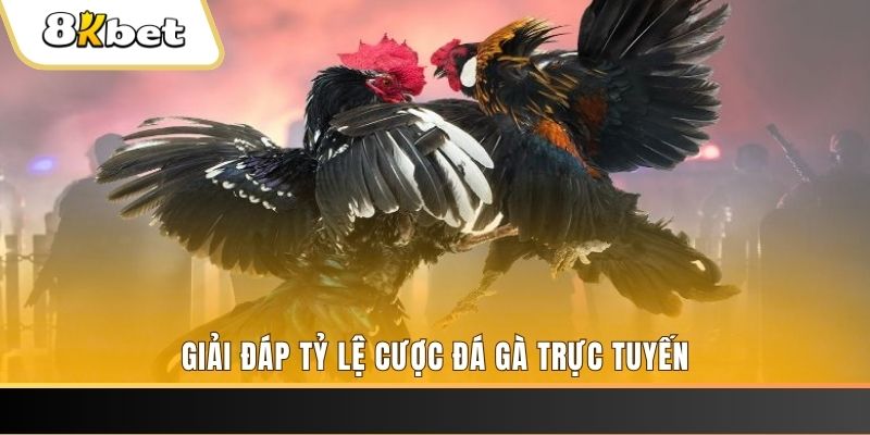 kubet789 xổ số ba đài