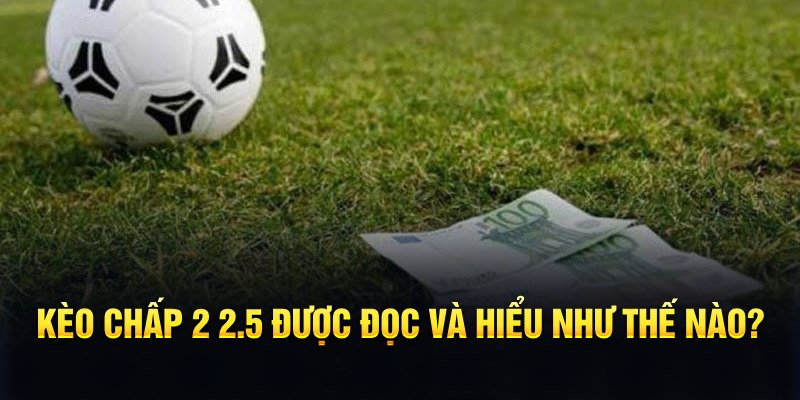 kubet789 đá gà thomo